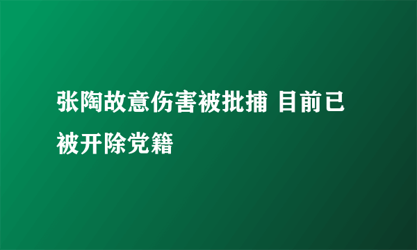 张陶故意伤害被批捕 目前已被开除党籍