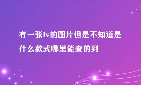 有一张lv的图片但是不知道是什么款式哪里能查的到