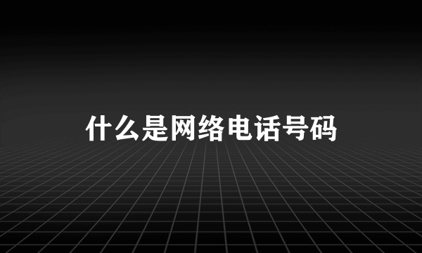 什么是网络电话号码