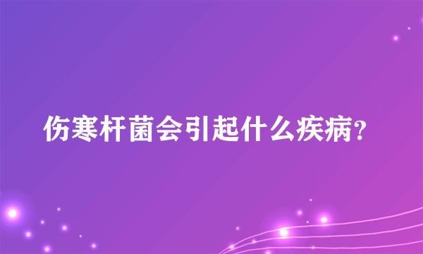 伤寒杆菌会引起什么疾病？