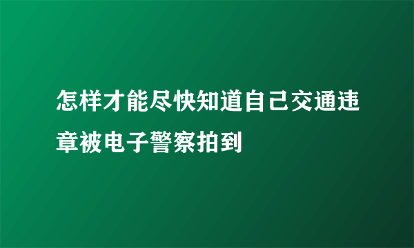 怎样才能尽快知道自己交通违章被电子警察拍到