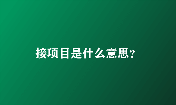 接项目是什么意思？