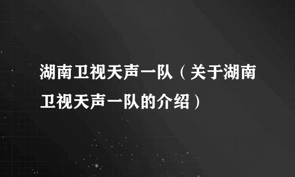 湖南卫视天声一队（关于湖南卫视天声一队的介绍）