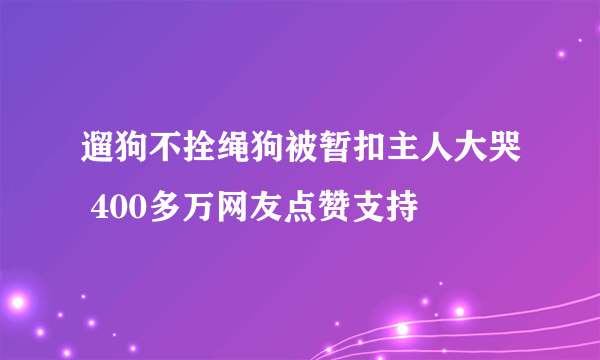 遛狗不拴绳狗被暂扣主人大哭 400多万网友点赞支持