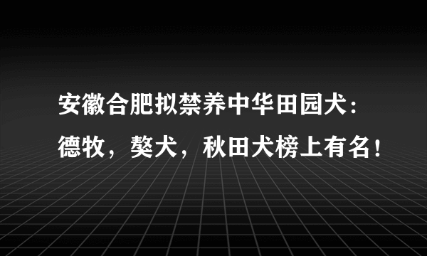 安徽合肥拟禁养中华田园犬：德牧，獒犬，秋田犬榜上有名！