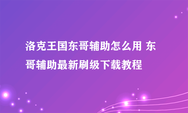 洛克王国东哥辅助怎么用 东哥辅助最新刷级下载教程