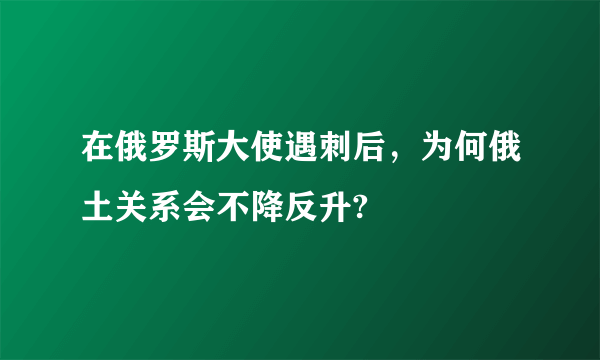 在俄罗斯大使遇刺后，为何俄土关系会不降反升?