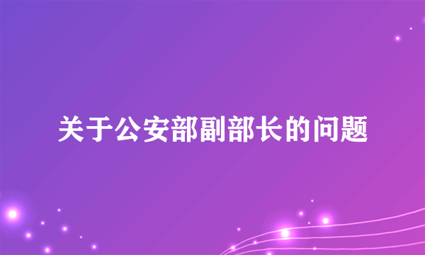 关于公安部副部长的问题