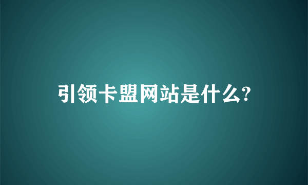 引领卡盟网站是什么?