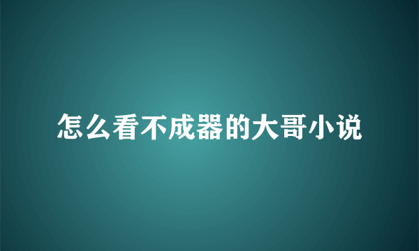 怎么看不成器的大哥小说