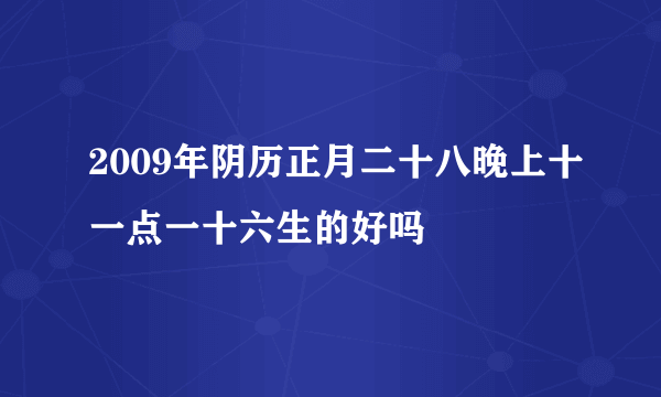 2009年阴历正月二十八晚上十一点一十六生的好吗