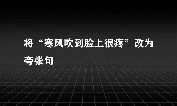 将“寒风吹到脸上很疼”改为夸张句