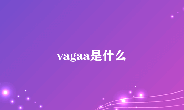 vagaa是什么