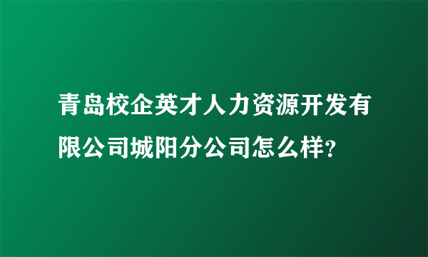 青岛校企英才人力资源开发有限公司城阳分公司怎么样？