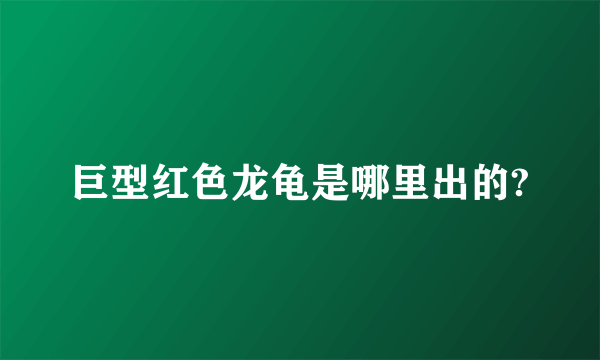 巨型红色龙龟是哪里出的?