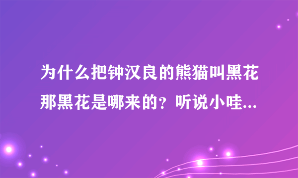 为什么把钟汉良的熊猫叫黑花那黑花是哪来的？听说小哇上哪儿都会带上她？