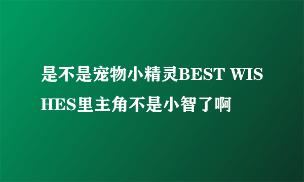 是不是宠物小精灵BEST WISHES里主角不是小智了啊