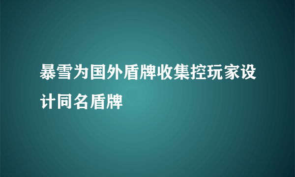 暴雪为国外盾牌收集控玩家设计同名盾牌