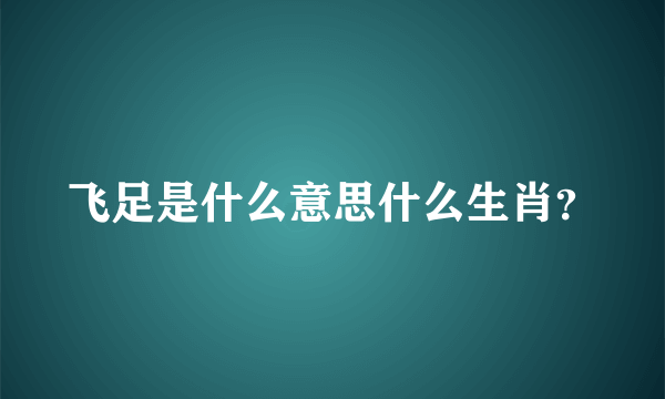 飞足是什么意思什么生肖？