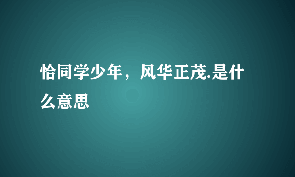 恰同学少年，风华正茂.是什么意思