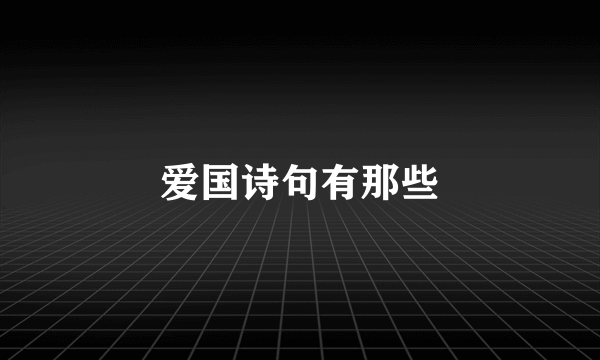 爱国诗句有那些