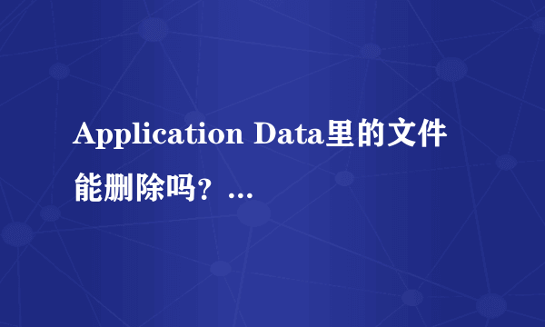 Application Data里的文件能删除吗？是什么文件？