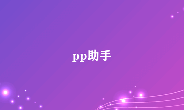 pp助手