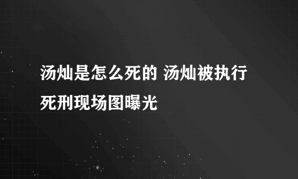 汤灿是怎么死的 汤灿被执行死刑现场图曝光