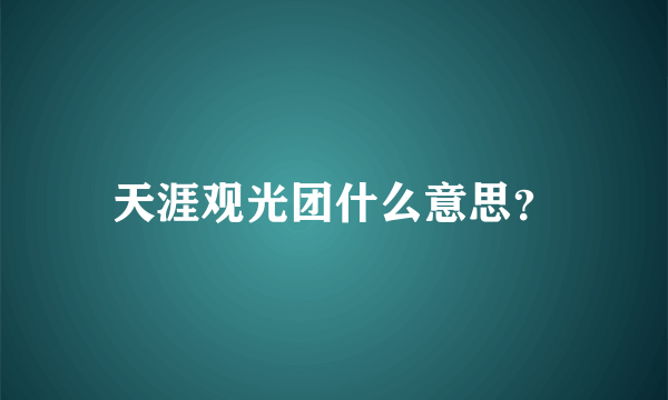 天涯观光团什么意思？