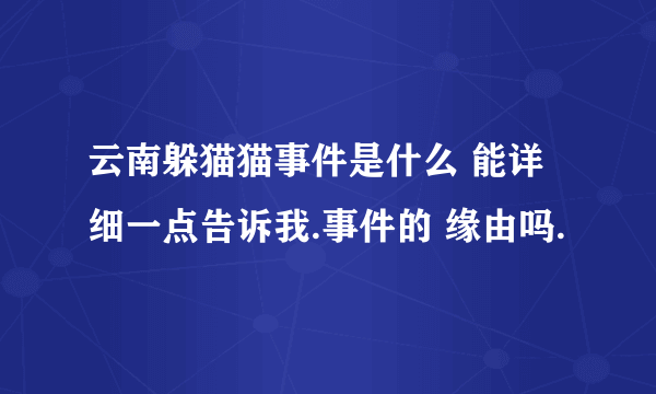 云南躲猫猫事件是什么 能详细一点告诉我.事件的 缘由吗.