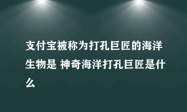 支付宝被称为打孔巨匠的海洋生物是 神奇海洋打孔巨匠是什么