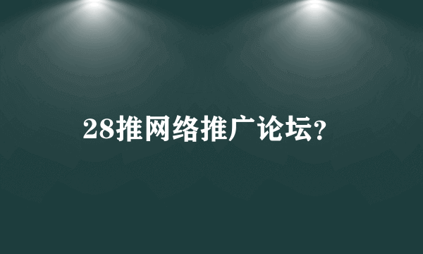 28推网络推广论坛？