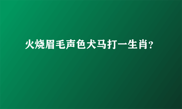 火烧眉毛声色犬马打一生肖？