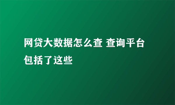 网贷大数据怎么查 查询平台包括了这些