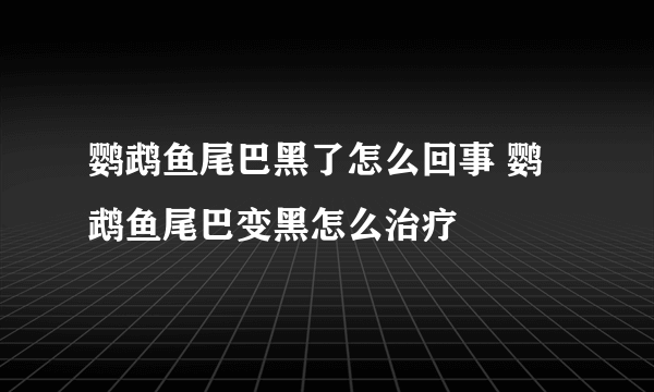 鹦鹉鱼尾巴黑了怎么回事 鹦鹉鱼尾巴变黑怎么治疗