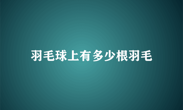 羽毛球上有多少根羽毛