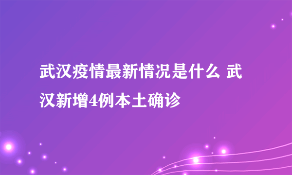 武汉疫情最新情况是什么 武汉新增4例本土确诊