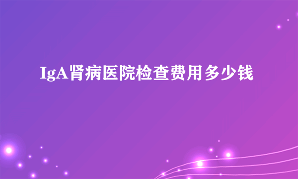 IgA肾病医院检查费用多少钱