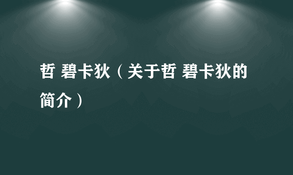 哲 碧卡狄（关于哲 碧卡狄的简介）