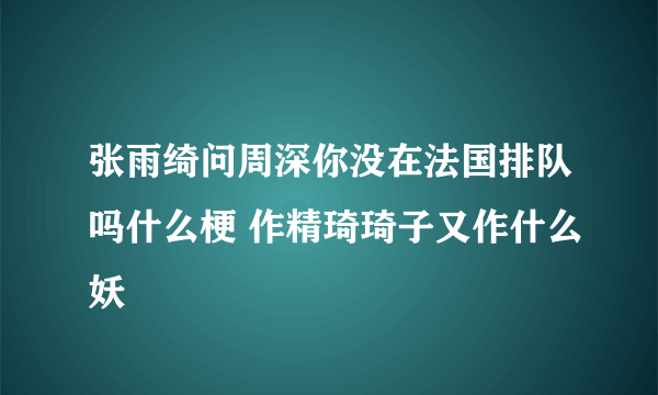 张雨绮问周深你没在法国排队吗什么梗 作精琦琦子又作什么妖