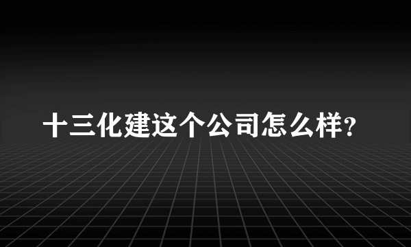 十三化建这个公司怎么样？