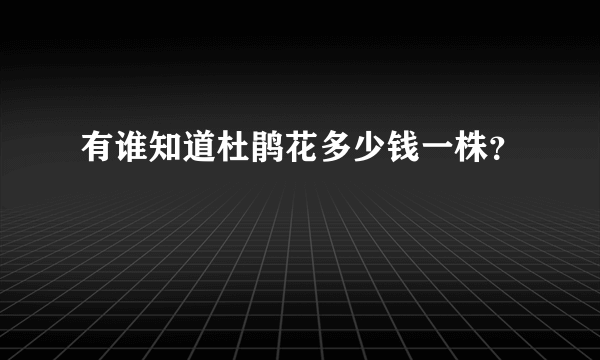 有谁知道杜鹃花多少钱一株？