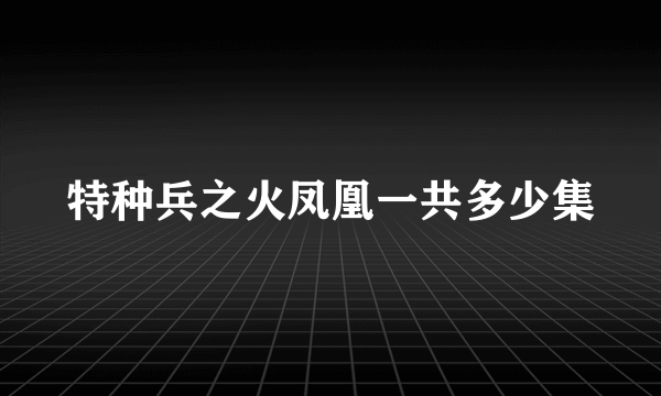 特种兵之火凤凰一共多少集