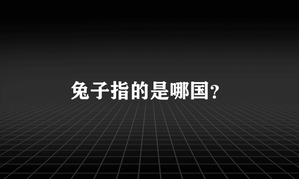 兔子指的是哪国？