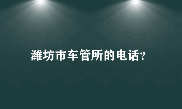 潍坊市车管所的电话？