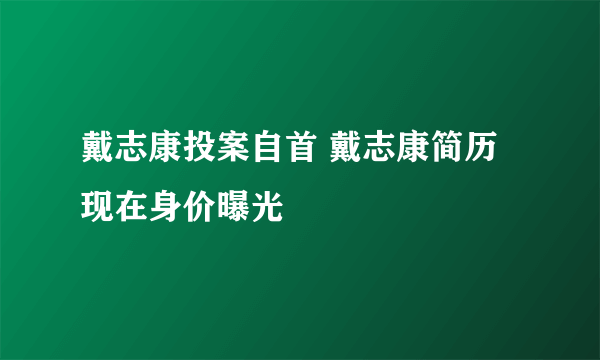 戴志康投案自首 戴志康简历现在身价曝光