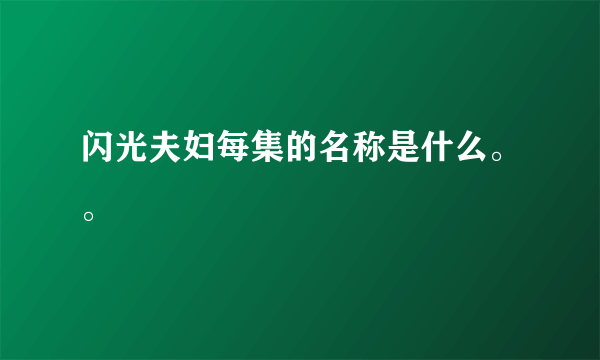 闪光夫妇每集的名称是什么。。