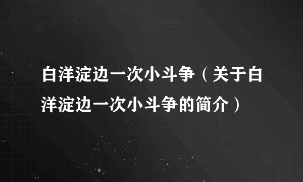 白洋淀边一次小斗争（关于白洋淀边一次小斗争的简介）