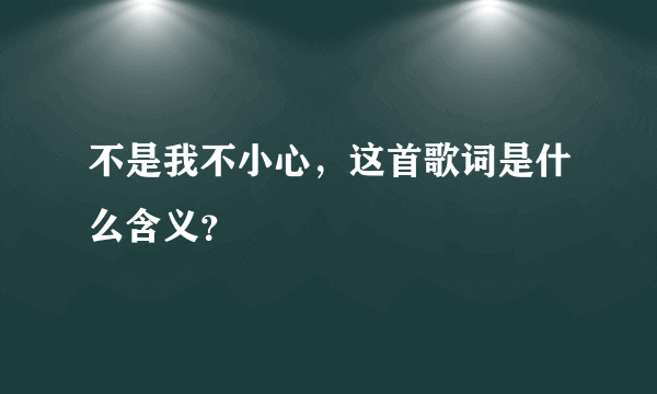 不是我不小心，这首歌词是什么含义？