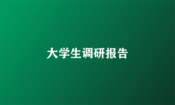 大学生调研报告